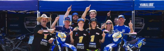 Yamaha Secure Three AEC Crowns